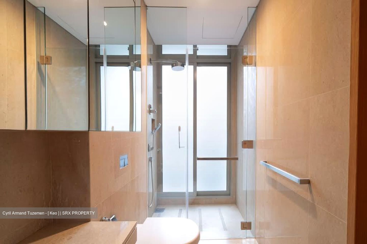 Beaufort On Nassim (D10), Condominium #569267811